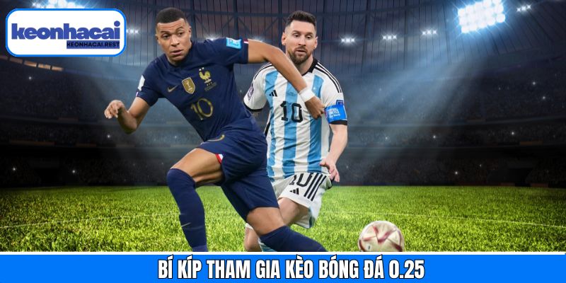 Top những mẹo bí kíp bất bại khi cá cược loại hình 0.25