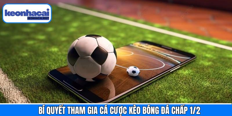 Kinh nghiệm hữu ích khi tham gia kèo bóng đá chấp ½ thắng lớn