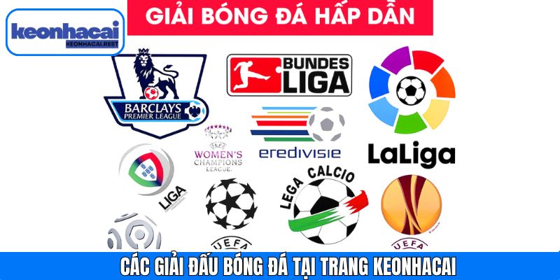 Các giải đấu nổi bật trên kênh bóng đá uy tín