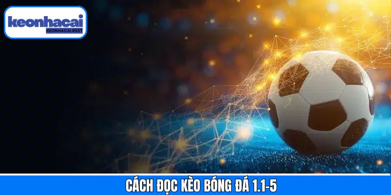 Tìm hiểu về cách thức khi đọc kèo bóng đá 1.1-5 dễ dàng