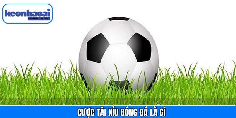 Cược Tài Xỉu Bóng Đá Là Gì? Giải Thích Chi Tiết Và Các Mẹo Hay