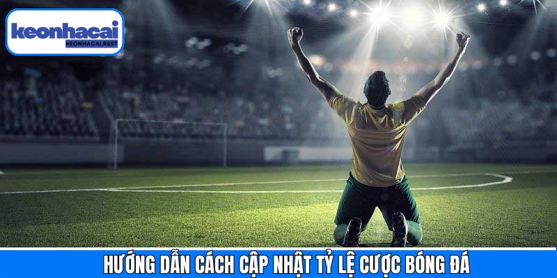 Cách cập nhật tỷ lệ cược mới nhất tại Keonhacai