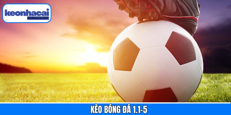 Kèo Bóng Đá 1.1-5 - Kinh Nghiệm Đặt Cược Giành Thắng Lớn
