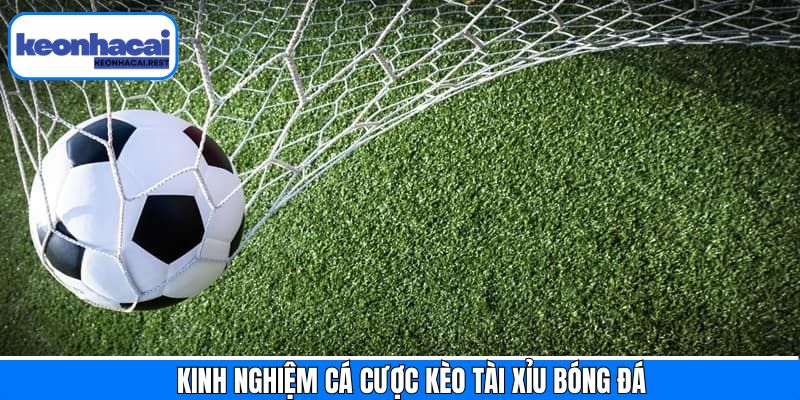 Kinh nghiệm hữu ích khi tham gia kèo cược tài xỉu bóng đá