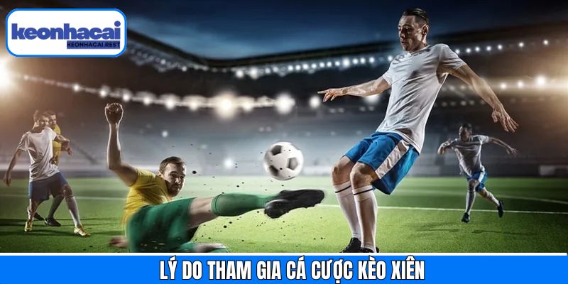 Top những lý do giúp kèo xiên thu hút nhiều người chơi