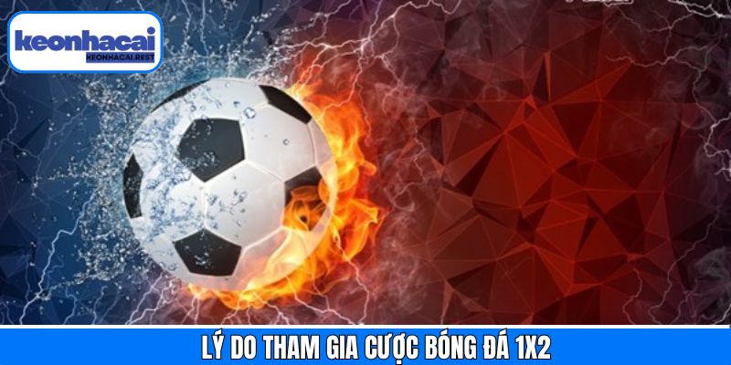 Ưu điểm hấp dẫn khi thành viên lựa chọn cược bóng đá 1x2