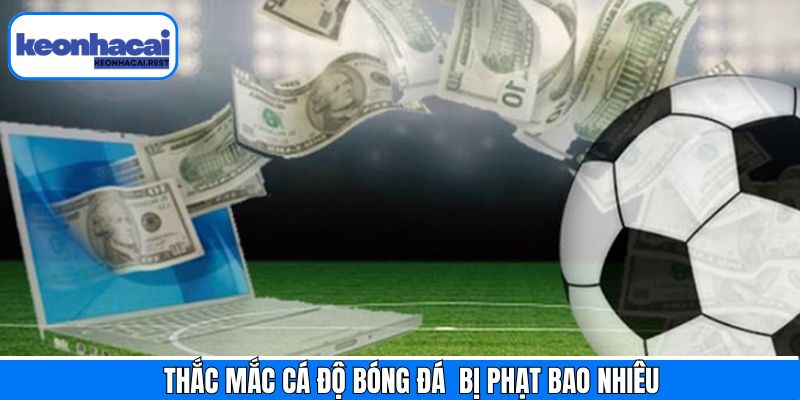 Nét chính về hành vi cá độ bóng đá