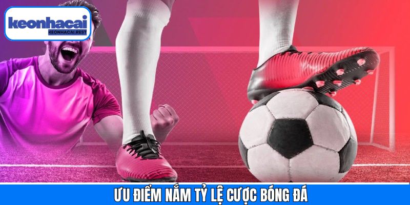 Vai trò khi hội viên biết về tỷ lệ cược bóng đá