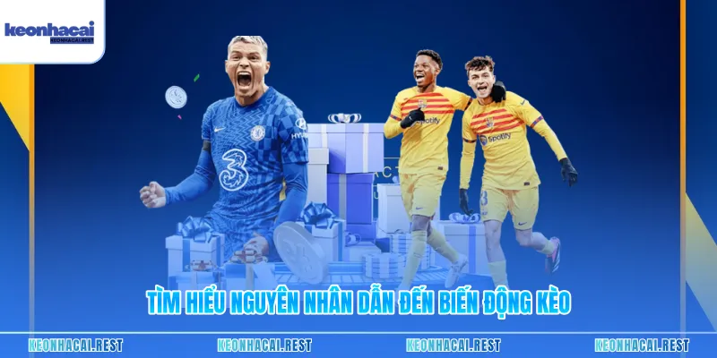 Tìm hiểu nguyên nhân dẫn đến biến động kèo